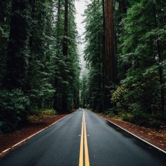 Серик Ашимов, 28.05, Шымкент