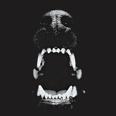 Сергей Шинкоренко, 23.03, Санкт-Петербург