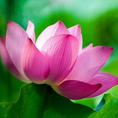 Аяулым Доспаева, 15.04