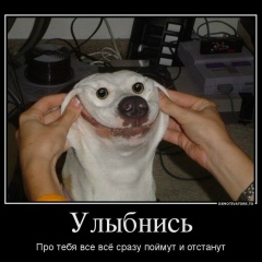 Дмитрий Ромахов, 19.11, Калининград