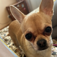 Татьяна Феоктистова