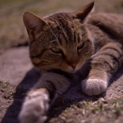 Степан Родькин, 05.05.1990, Опочка