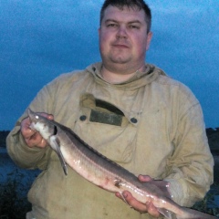 Николай Свирин, 07.12.1981, Москва