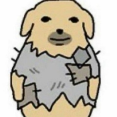 Константин Копцев, Зеленогорск