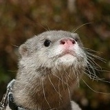 Дмитрий Владимирович, 11.03, Красноярск