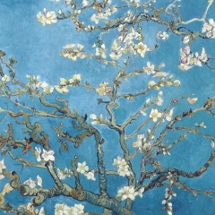 Залиха Токаева, 09.09.1989, Грозный