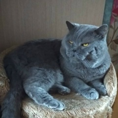 Елена Пармузина, 07.12, Москва