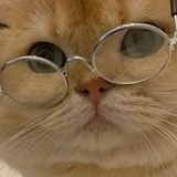 Лия Смышляева, 01.09.1984, Чебоксары