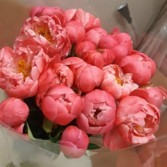 Людмила Павлова, 05.05, Москва