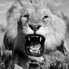 Кирилл Инженеров, 08.08.1978, Москва