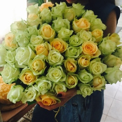 Кристина Кристалик, 29.06.1989