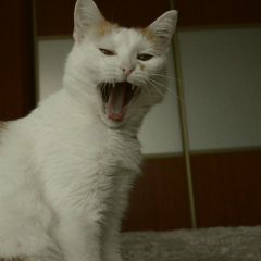 Таня Туманова, 05.06, Самара