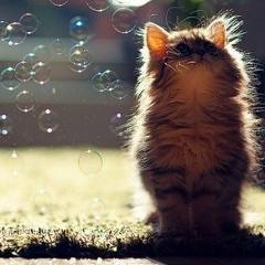 Елена Хорошко, 09.06