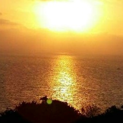 Камилла Светлакова, 11.04, Москва