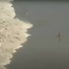 Алексей Шалыгин, Ростов-на-Дону