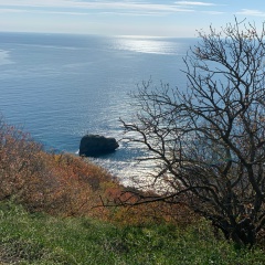 Vyacheslav Prudnikov, Санкт-Петербург