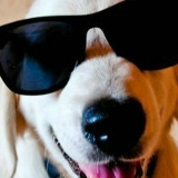 Димон Шевл, 17.04.1990, Орёл