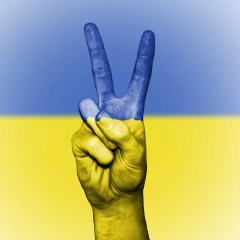Alik Nitsahon, 07.08.1984, Харьков