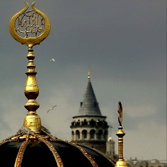 Андрей Петрашевич