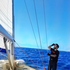 Ник Аванесян, 24.04, Москва