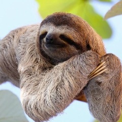 Наталья Кагульская, Нефтеюганск