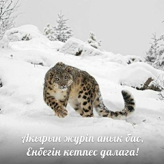 Ян Желібаев