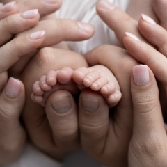 Станислав Михайлов, Воронеж