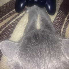 Ярослав Алдошин, 06.03.1990, Винница