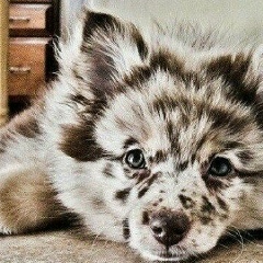 Антон Сидоров, 13.11, New York City