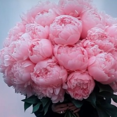 Елизавета Пачи, 15.11.1982, Москва