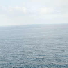 Александра Поджидаева, 05.10.1985