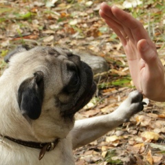 Василий Кузнецов, 13.11.1981, Екатеринбург