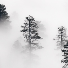 Olga Artemyeva, 04.07, Санкт-Петербург