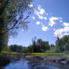 Николай-И-Елена Глазовы, Вонгуда