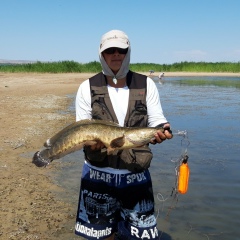 Евгений Ирискин, Талгар