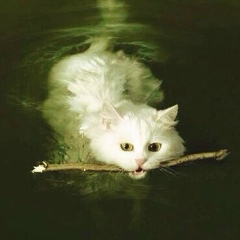 Яна Орешек, 09.03, Санкт-Петербург