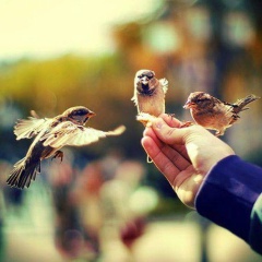 Jandos Ashirbay, Шымкент