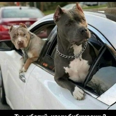 Александр Косяк, 22.01.1967, Санкт-Петербург