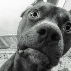 Nazar Lubymets, 03.02.1999, Трускавец