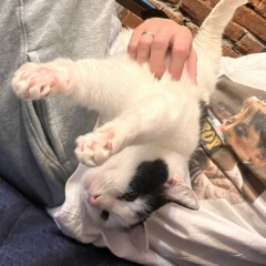 Павел Зуев, 16.01, Красноярск