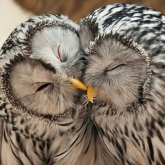 Анна Долганина, 16.06, Санкт-Петербург