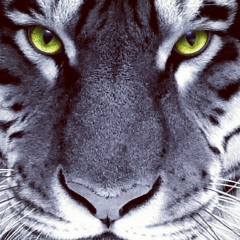 Валера Журун, 23.12.1978