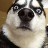 Мария Беленкова, 14.09, Пермь