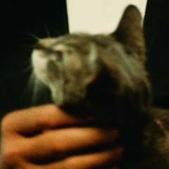 Владимир Масколенко, 16.09, Москва