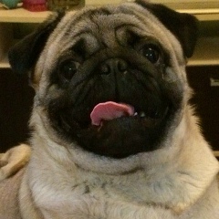 Сергей Плотников, 17.11.1975, Санкт-Петербург