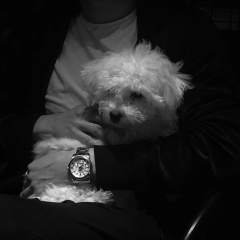 Андрей Андреев, 01.11, Новороссийск