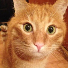 Антон Суворинов, 30.12, Владивосток