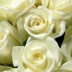 Мария Кибешева, 22.08, Киров