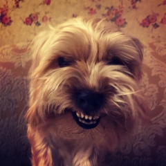 Victor Opokin, 20.07.1987, Kuwait