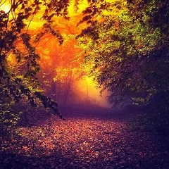 Тамара Брындикова, 23.12, Санкт-Петербург